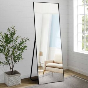 11 Absolutely Elegant Floor Length Mirrors - Black Ragas