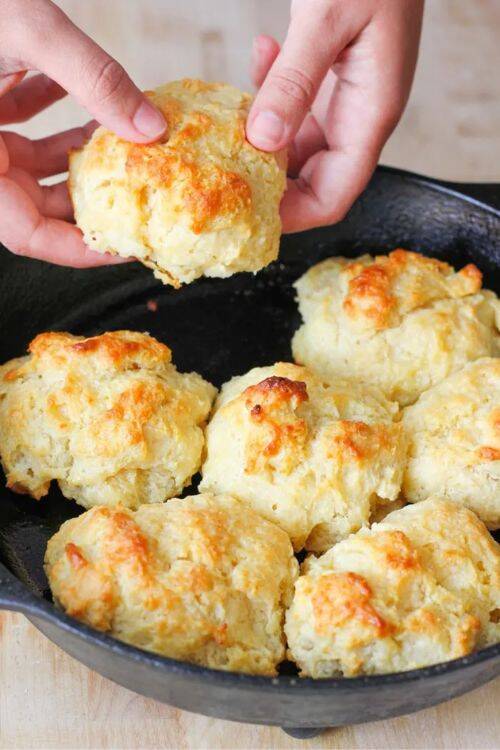 from homemade biscuits to buttermilk biscuits and more, make the best biscuit recipes