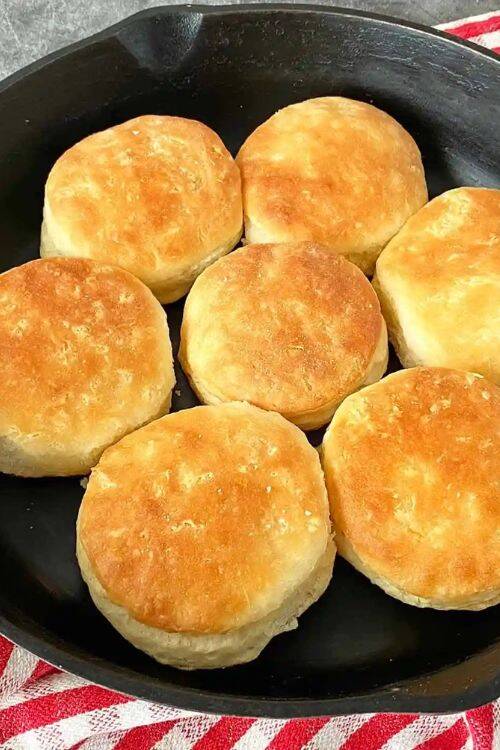 from homemade biscuits to buttermilk biscuits and more, make the best biscuit recipes