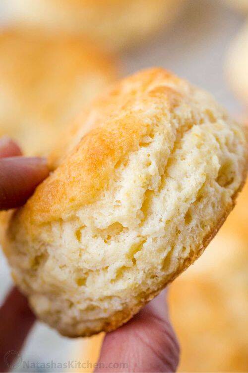 from homemade biscuits to buttermilk biscuits and more, make the best biscuit recipes