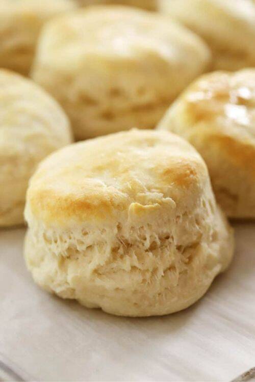 from homemade biscuits to buttermilk biscuits and more, make the best biscuit recipes