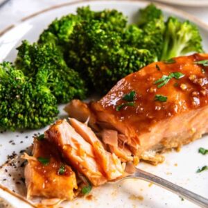 salmon recipes